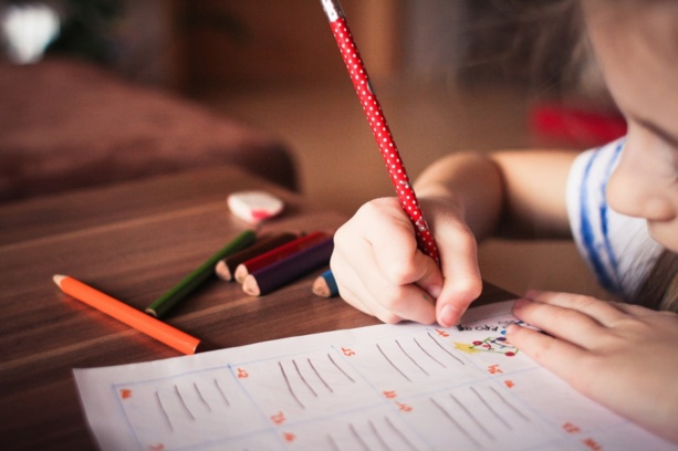 Formation pratique des élu(e)s du CSE