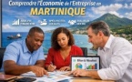 Martinique : Comprendre et analyser la situation économique de son entreprise 