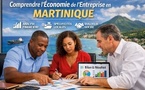 Martinique : Comprendre et analyser la situation économique de son entreprise 