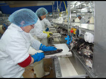 Traumatismes au travail. Les bons choix de Capitaine Houat Traumatismes au travail. Les bons choix de Capitaine Houat