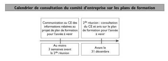 La formation professionnelle, Plan de formation pour l'année à venir !