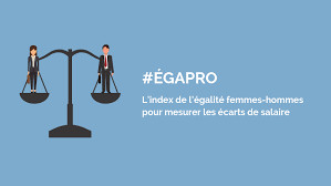 Index de l’égalité professionnelle  : Entreprise de plus de 250 salariés Index de l’égalité professionnelle  : Entreprise de plus de 250 salariés