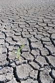 Novembre : Retour sur une canicule : Questions Novembre : Retour sur une canicule : Questions