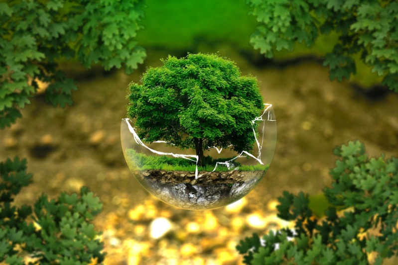 CSE : nouvelles attributions environnementales CSE : nouvelles attributions environnementales