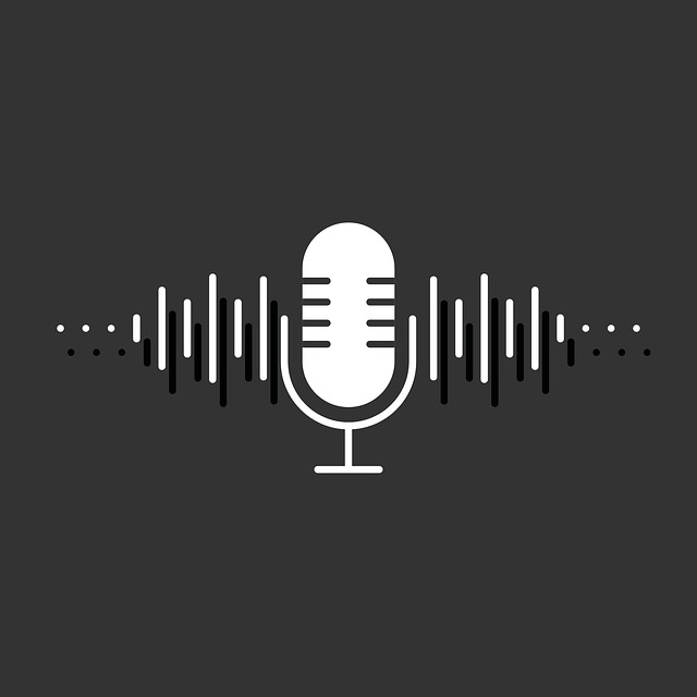 Enregistrement audio à l'Insu : Ce que les élus du CSE doivent savoir. Enregistrement audio à l'Insu : Ce que les élus du CSE doivent savoir.