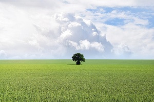 Loi climat travail : un nouveau rôle stratégique pour le CSE