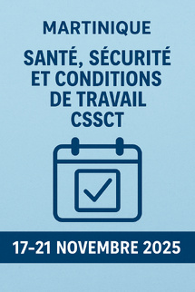 Martinique : se former pour agir sur la santé mentale et les conditions de travail Martinique : se former pour agir sur la santé mentale et les conditions de travail