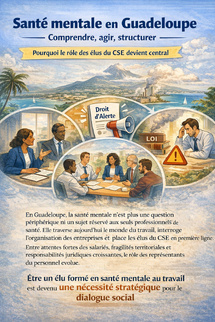 Santé mentale en Guadeloupe : comprendre, agir, structurer