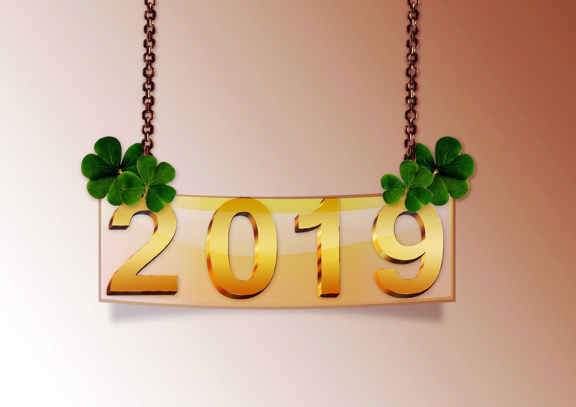 Vœux pour l'année 2019