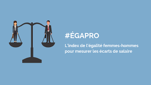 Index de l’égalité professionnelle  : Entreprise de plus de 250 salariés