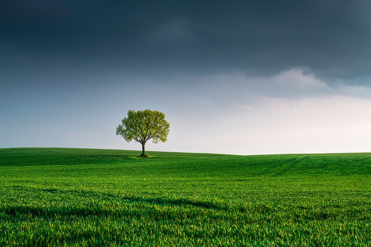 "Il faut faire de l'environnement un vrai sujet du dialogue social"