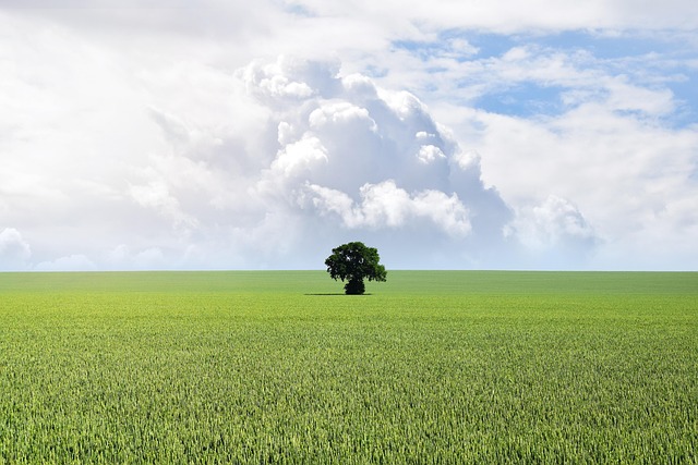 Loi climat travail : un nouveau rôle stratégique pour le CSE