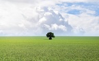 Loi climat travail : un nouveau rôle stratégique pour le CSE