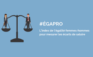 Index de l’égalité professionnelle  : Entreprise de plus de 250 salariés