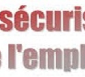 Sécuriation de l'emploi, conséquences pour les entreprises, impact pour les IRP