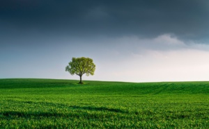"Il faut faire de l'environnement un vrai sujet du dialogue social"