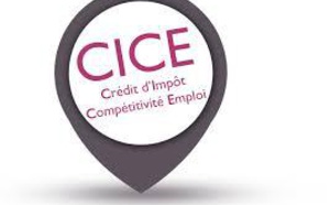 Simulateur pour le crédit d'impôt compétitivité emploi (CICE)