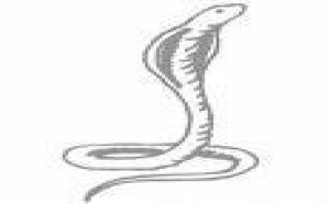 Python manipulé en comité d'entreprise: 'un geste d'humour' selon le patron