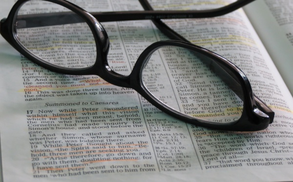 Accompagnement du CE au quotidien, l'expert technique