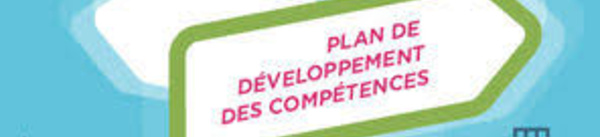 Plan de développement des compétences : information et consultation du CSE