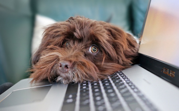 Assouplissement du télétravail dès le 9 juin