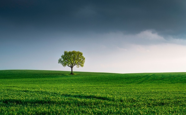 "Il faut faire de l'environnement un vrai sujet du dialogue social"