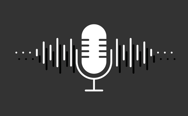 Enregistrement audio à l'Insu : Ce que les élus du CSE doivent savoir.