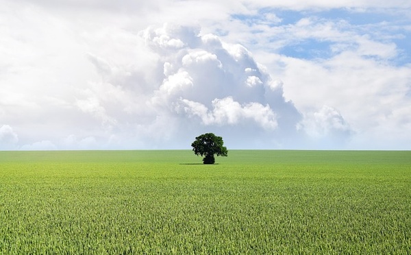 Loi climat travail : un nouveau rôle stratégique pour le CSE