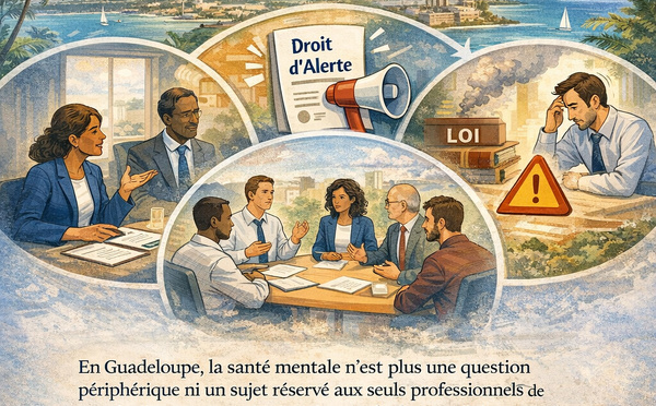 Santé mentale en Guadeloupe : comprendre, agir, structurer