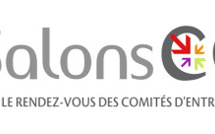 La médiation au service des IRP – Les experts du CE