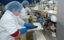 Traumatismes au travail. Les bons choix de Capitaine Houat Traumatismes au travail. Les bons choix de Capitaine Houat