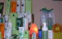 Travail domestique - Le projet de loi stagne dans le circuit d'adoption Travail domestique - Le projet de loi stagne dans le circuit d'adoption