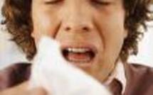 Grippe A : mettre en place un plan de continuité d'activité Grippe A : mettre en place un plan de continuité d'activité