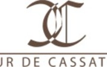 Inaptitude et reprise du paiement du salaire à l’issue du délai d’un mois