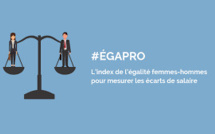 Index de l’égalité professionnelle  : Entreprise de plus de 250 salariés Index de l’égalité professionnelle  : Entreprise de plus de 250 salariés