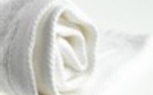 La révolte des blanchisseurs La révolte des blanchisseurs