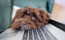 Frais liés au télétravail, au travail à domicile et aux outils issus des nouvelles technologies