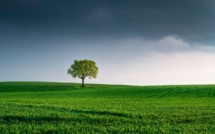 "Il faut faire de l'environnement un vrai sujet du dialogue social"