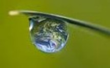 Les ONG doivent-elles intégrer les comités d’entreprise ? Les ONG doivent-elles intégrer les comités d’entreprise ?