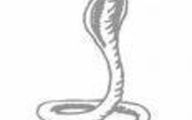 Python manipulé en comité d'entreprise: 'un geste d'humour' selon le patron Python manipulé en comité d'entreprise: 'un geste d'humour' selon le patron