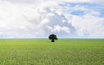Loi climat travail : un nouveau rôle stratégique pour le CSE