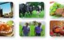 Unicopa Volaille. Les salariés inquiets de leur sort Unicopa Volaille. Les salariés inquiets de leur sort